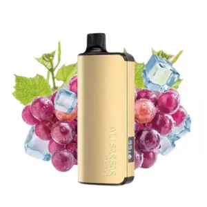 Alibarbar Ingot 9000 Puffs Vape-Grape Ice