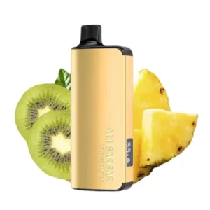 Alibarbar Ingot 9000 Puffs Vape-Kiwi Pineapple
