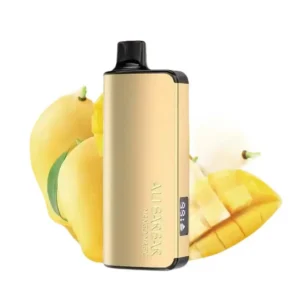 Alibarbar Ingot 9000 Puffs Vape-Mango Magi