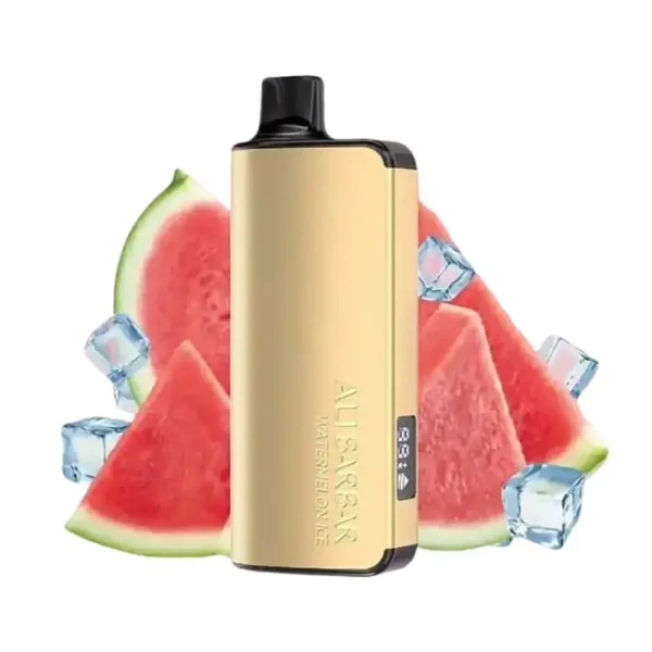 Alibarbar Ingot 9000 Puffs Vape-Watermelon