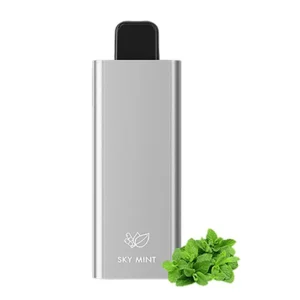 Vape jetable HQD Slick 6000 bouffées - Menthe céleste