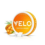 VELO 6mg Nicotine Pouches Balanced Strength Nicotine Products for Wholesale Buyers